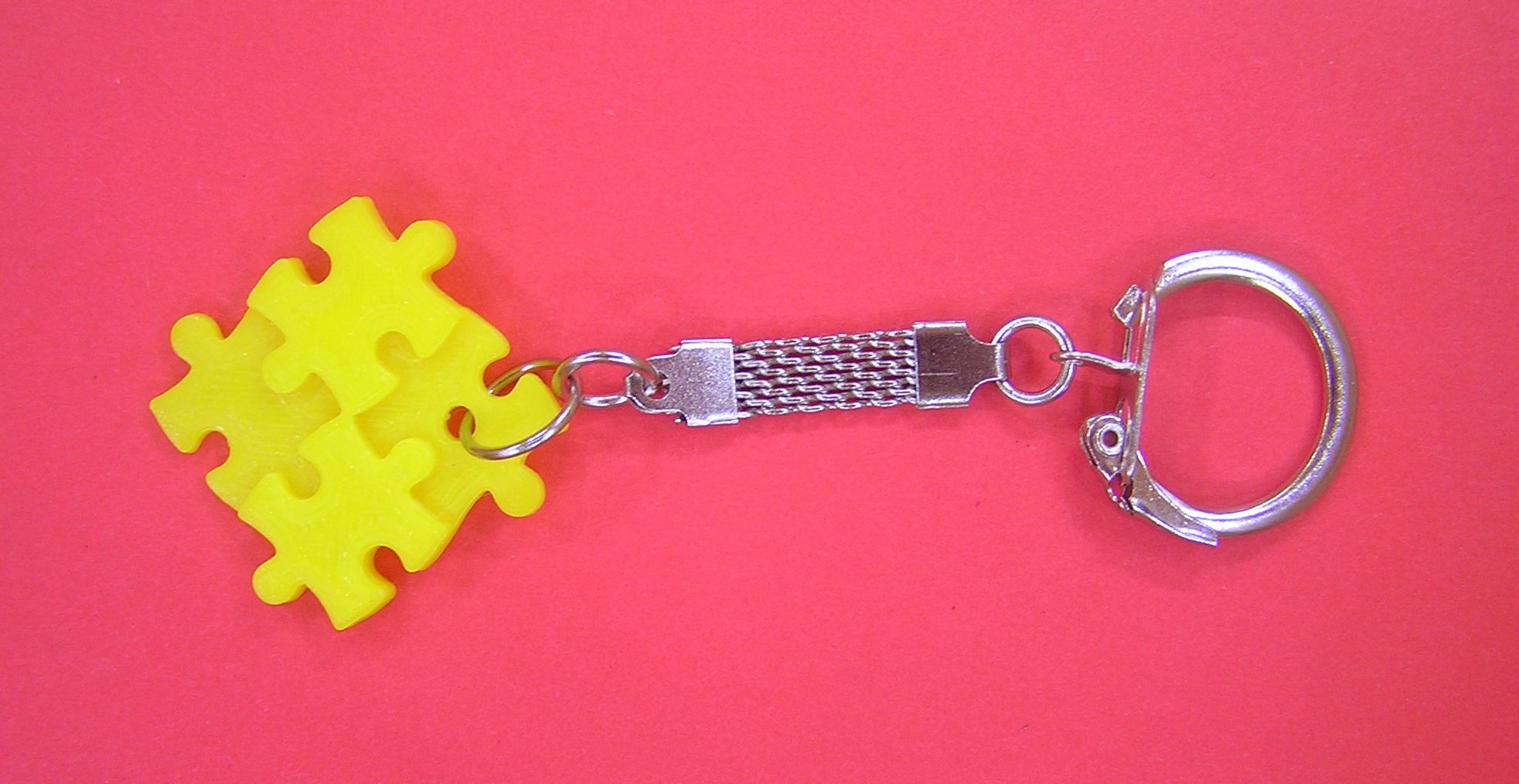 3D041 - Puzzle Piece Keyring