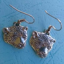 AFR006 - Cheetah heads AFR006 - Cheetah heads