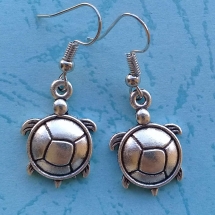 AFR019 - Turtle AFR019 - Turtle