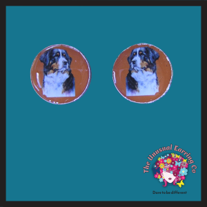 Bernese Mountain Dog