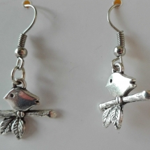 BF001 - Bird on branch BF001 - Bird on branch