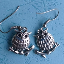 BF020 - Fat Owls BF020 - Fat Owls