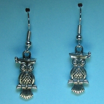 BF050 - Wise Owls BF050 - Wise Owls