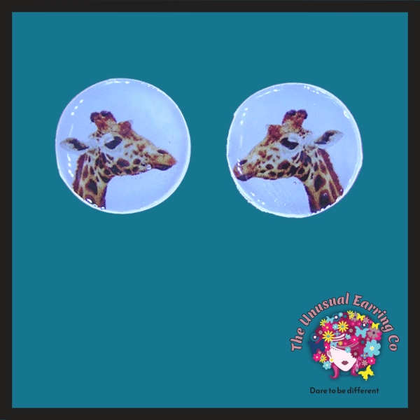 Giraffe - White BG