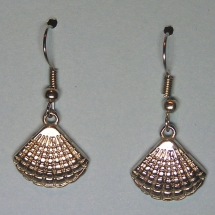 OCE017 - Shells OCE017 - Shells