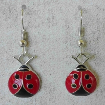 SMC011 - Ladybird SMC011 - Ladybird